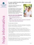 Thumbnail of the PDF version of Lo que usted necesita saber acerca del cáncer de seno: Guía para mujeres hispanas con diagnóstico reciente