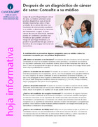 Thumbnail of the PDF version of Después de un diagnóstico de cáncer de seno: Consulte a su médico