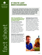 Thumbnail of the PDF version of If You've Just Been Diagnosed
