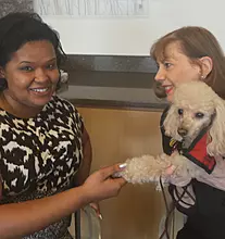 Display photo for Introducing CancerCare Canines