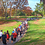 Participants walking down hill