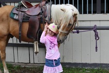 Healing hearts horse