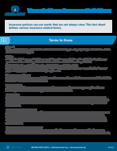 Thumbnail of the PDF version of Terms to Know: Insurance Definitions